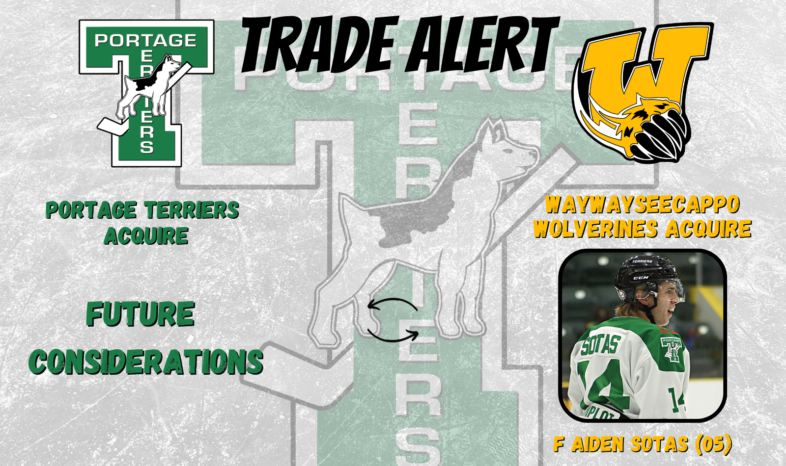 Terriers Send Sotas To Wolverines | Portage Terriers