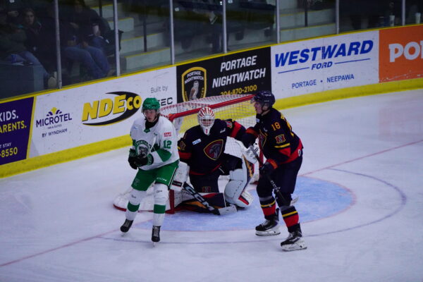 Terriers Fall To Nighthawks